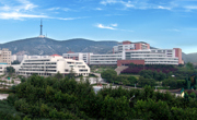 校园全景